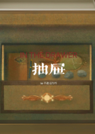 抽屉(亲姐弟)/作者:不说话的书